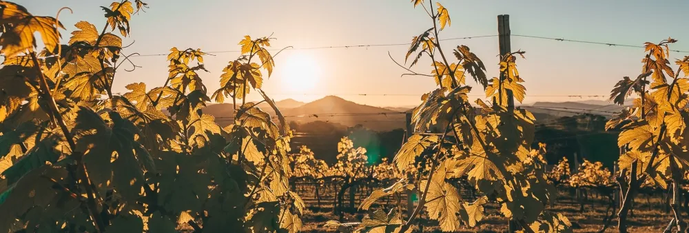 Borgo del Vino Parceiros